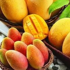 Манго для похудения — меню диеты на экзотическом фрукте Манго ккал на 100